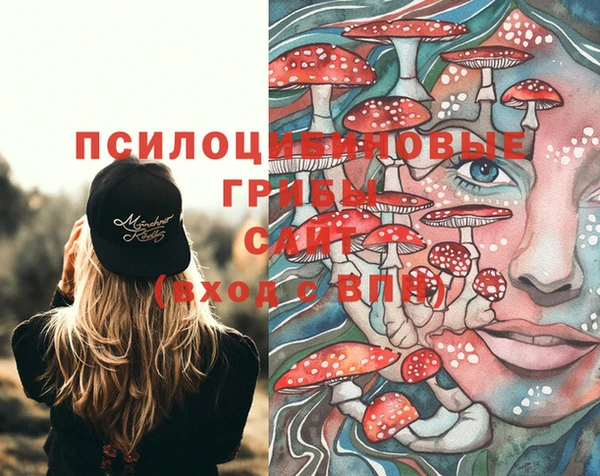 круглые Алексин
