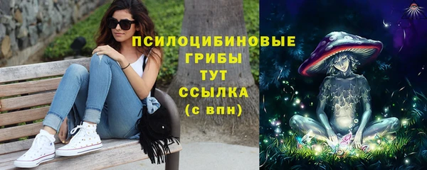 гашик Алзамай