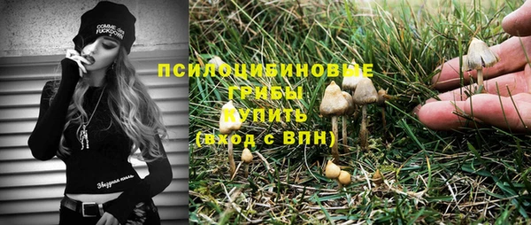 круглые Алексин