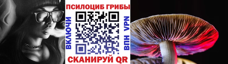 Псилоцибиновые грибы Psilocybe что такое наркотик Троицк